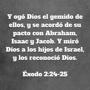 Exodo 2.24-25