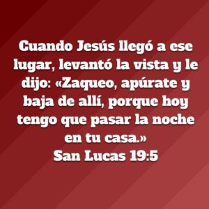 Lucas 19.5