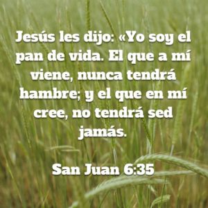 Juan 6.35