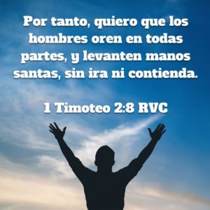 1 Timoteo 2.8