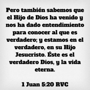1 Juan 5.20