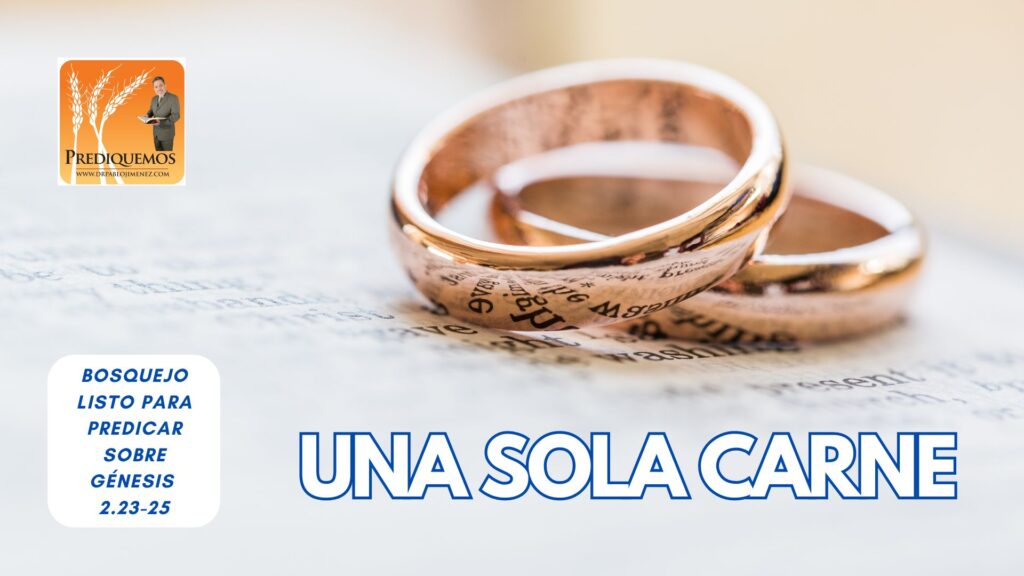 Una sola carne
Génesis 2.23-25
familia y matrimonio
bosquejo listo para predicar